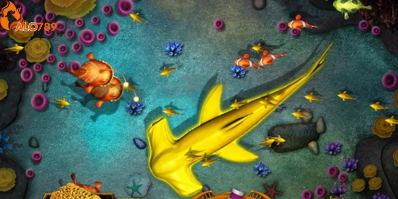 Cược thủ nên theo dõi chuyển động của cá